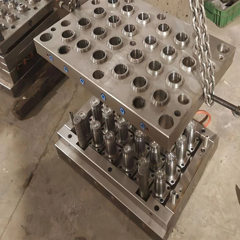 info-1-1 Bottle Cap Mould